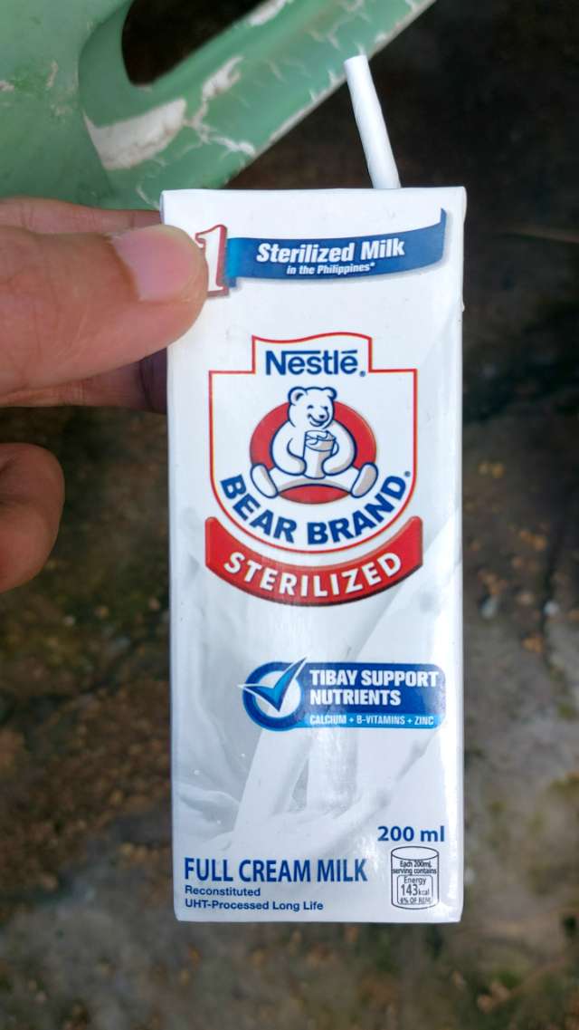Bear brand sterilized full cream milk