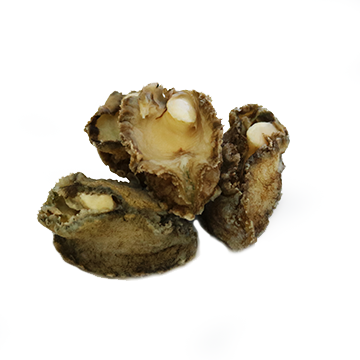 Abalone