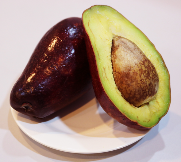 Avocado, red