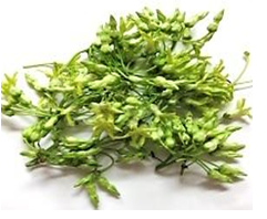 Bagbagkong flower, raw
