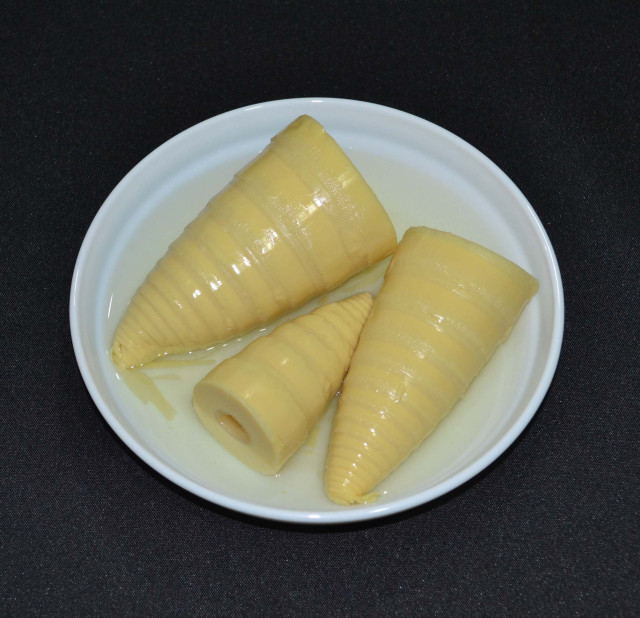 Bamboo shoot, cnd