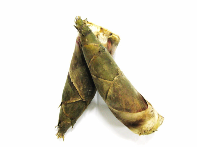 Bamboo shoot