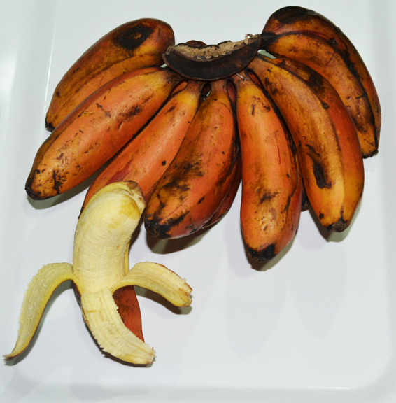 Banana, murado