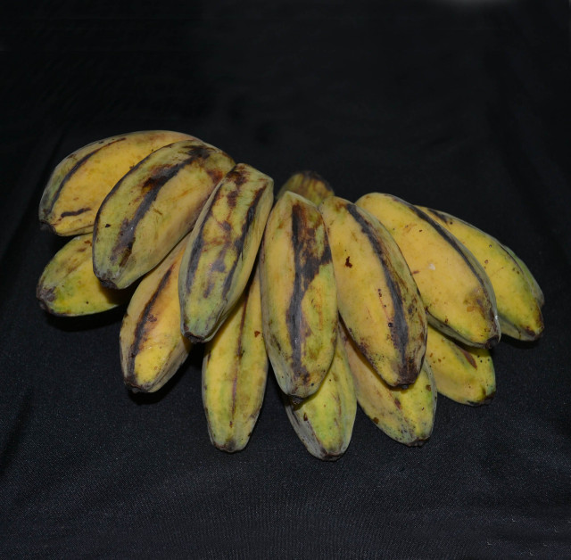 Banana, saba