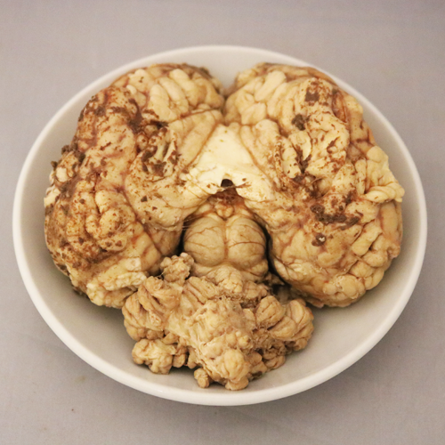 Beef brain, boiled