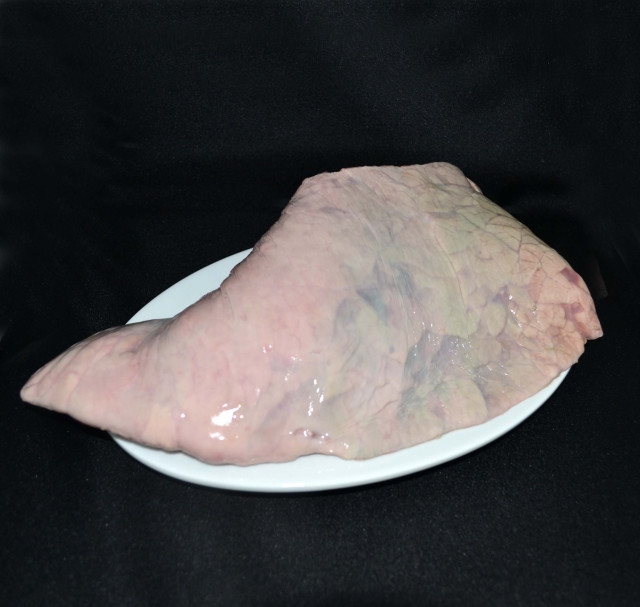 Beef lung