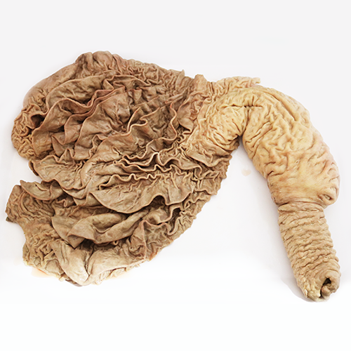 Beef reticulum