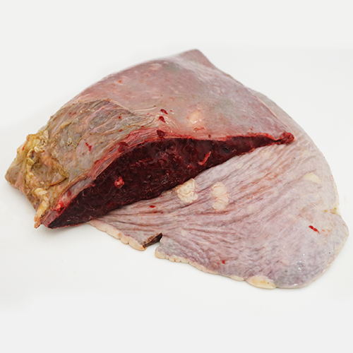 Beef spleen