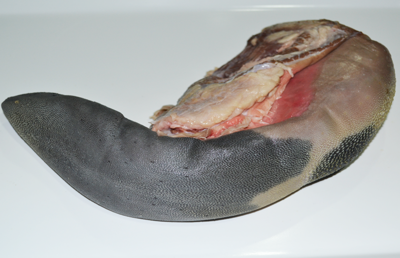 Beef tongue