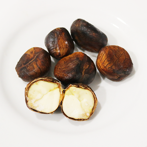 Breadnut seed