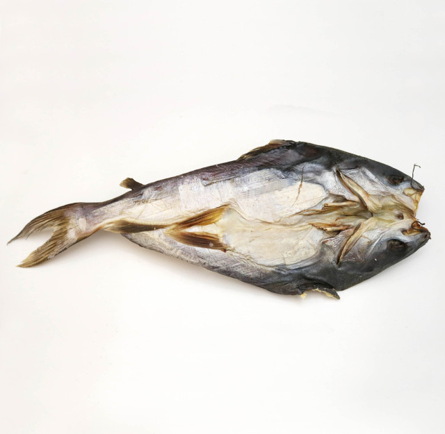 Catfish, saltwater, dried