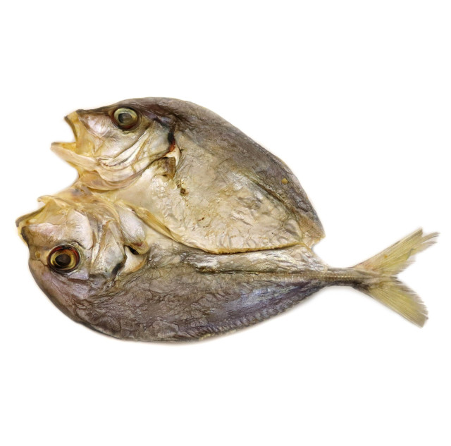 Cavalla, banded, dried