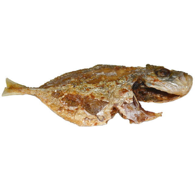 Cavalla, banded, fried