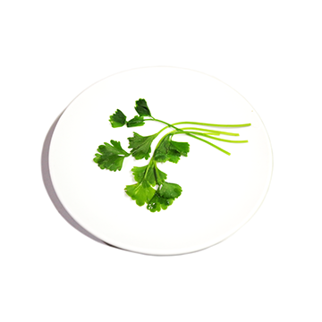 Celery, Chinese, lvs & petioles, boiled
