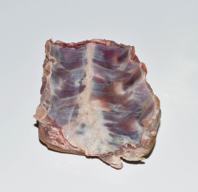 Chevon breast