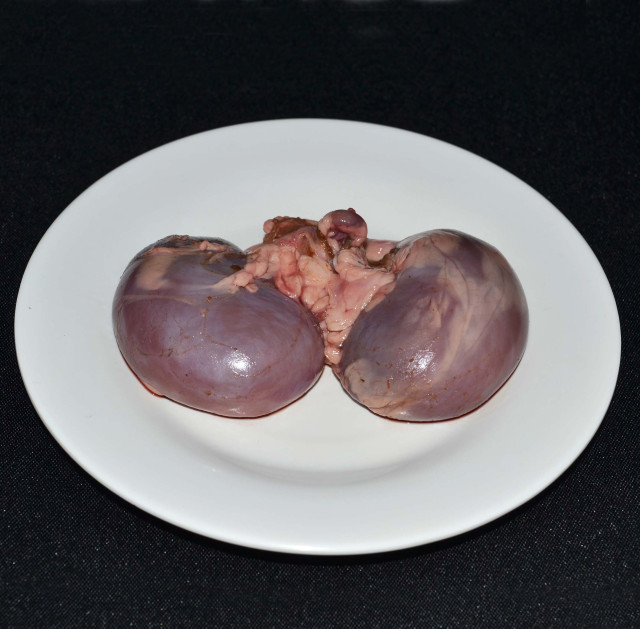 Chevon kidney