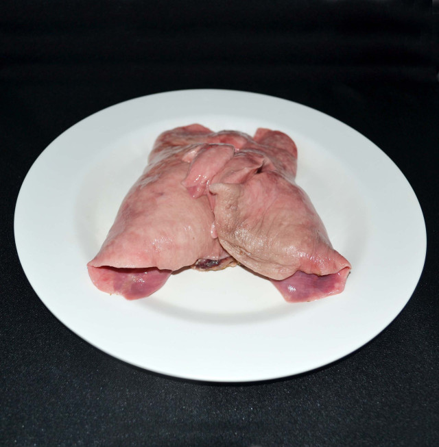 Chevon lung
