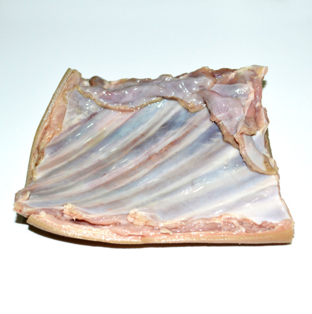 Chevon rib