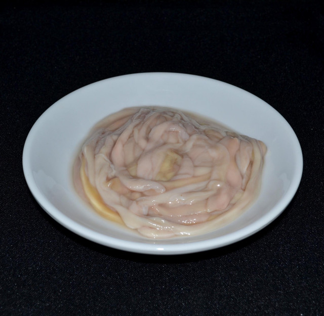 Chicken intestine