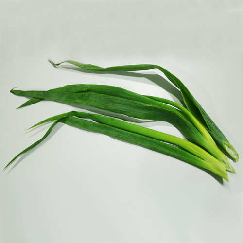 Chinese leek lvs