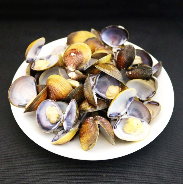 Clam, freshwater, tulya, boiled