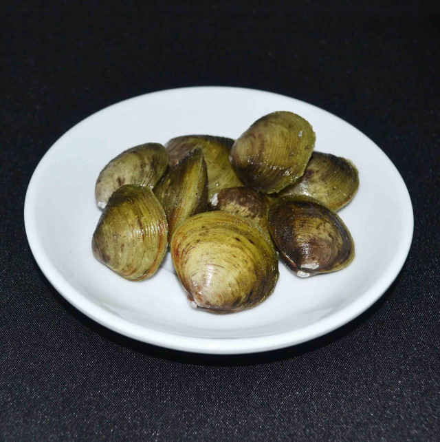 Clam, freshwater, tulya