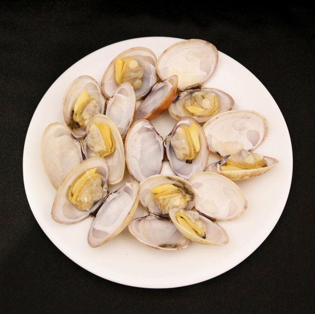 Clam, halaan, boiled