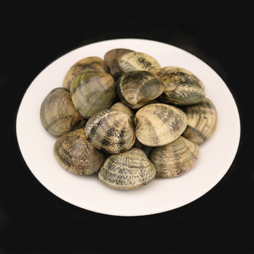 Clam, halaan