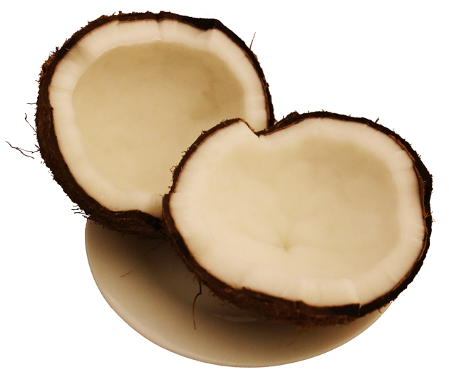 Coconut meat, mature