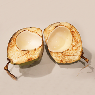 Coconut meat, very young