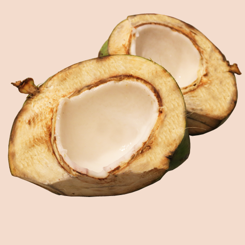 Coconut meat, young