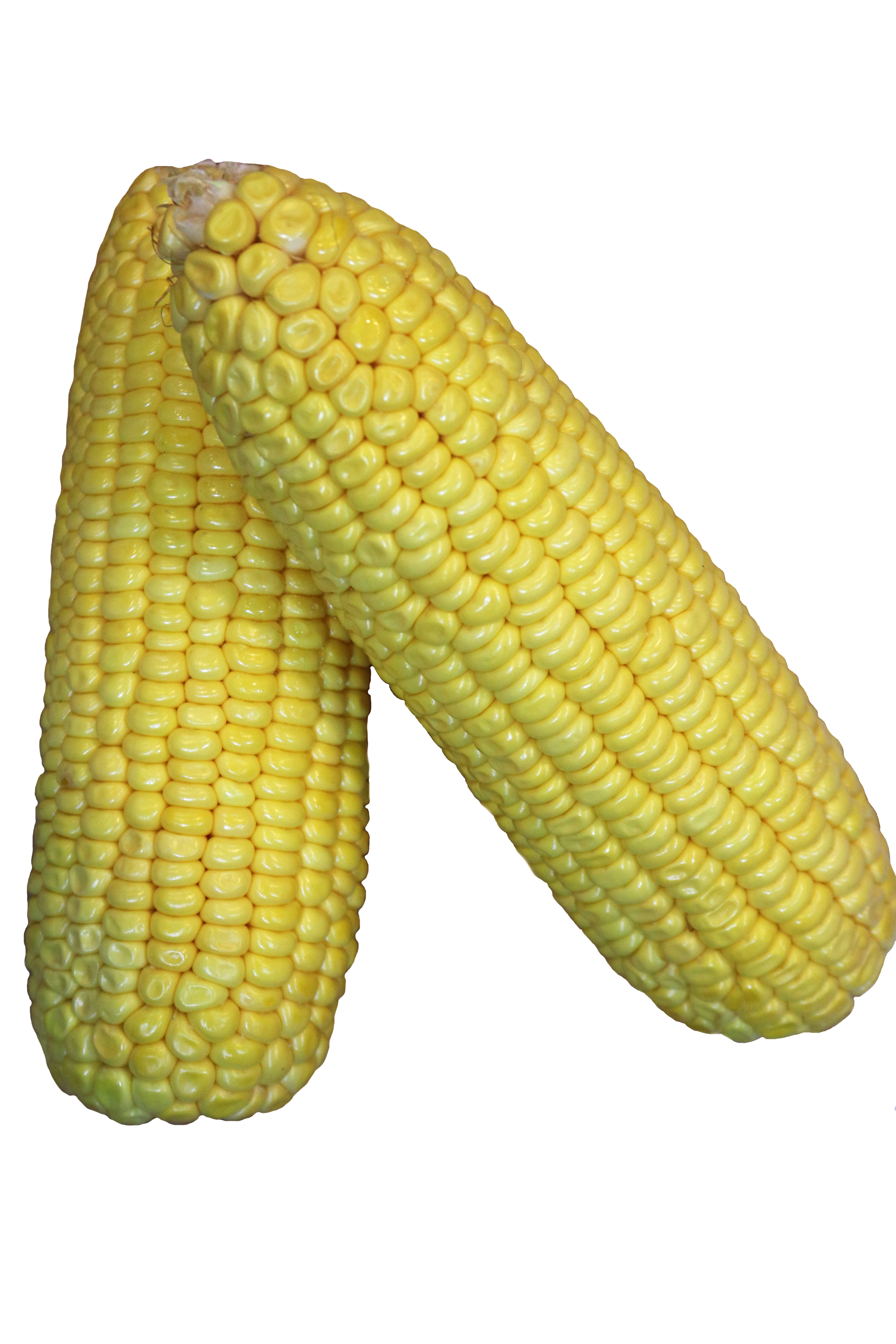 Corn on cob, yellow