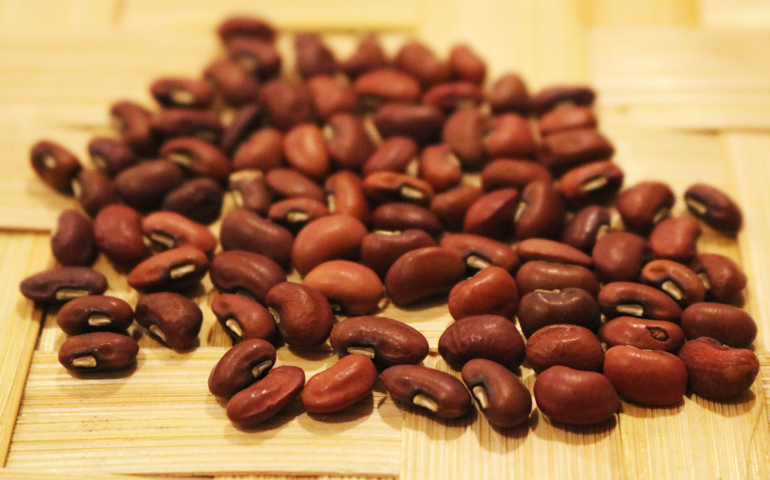 Cowpea seed, dried