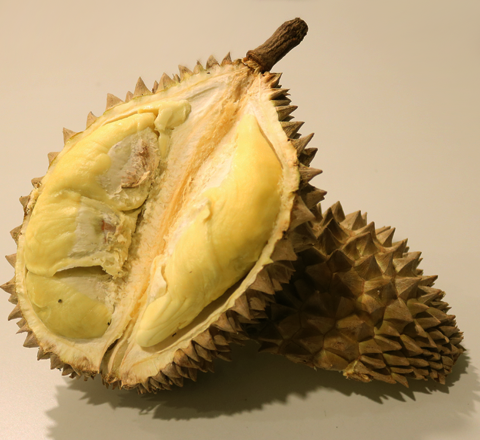 Durian