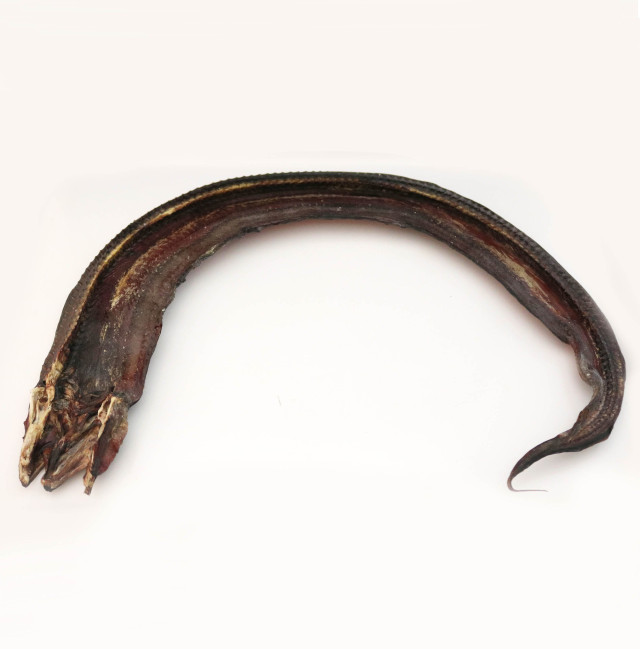 Eel, swamp, dried