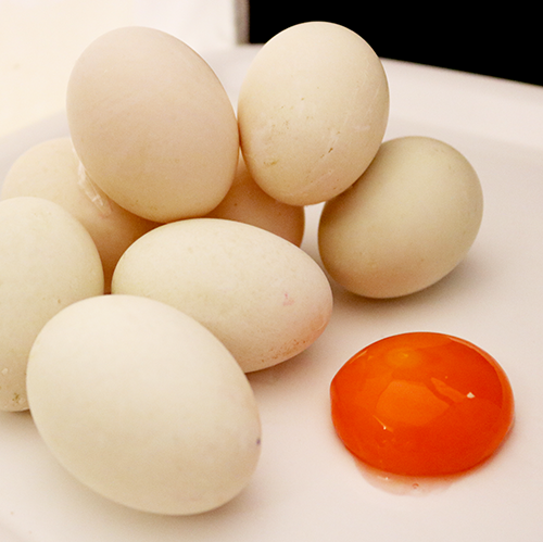 Egg, duck, yolk