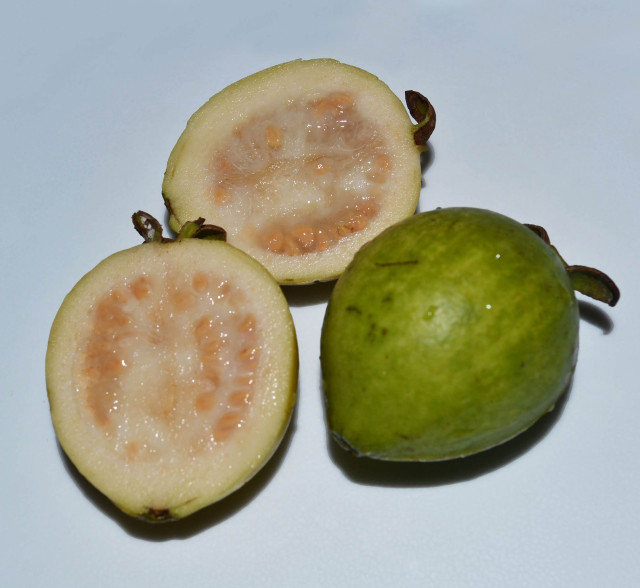 Guava, white