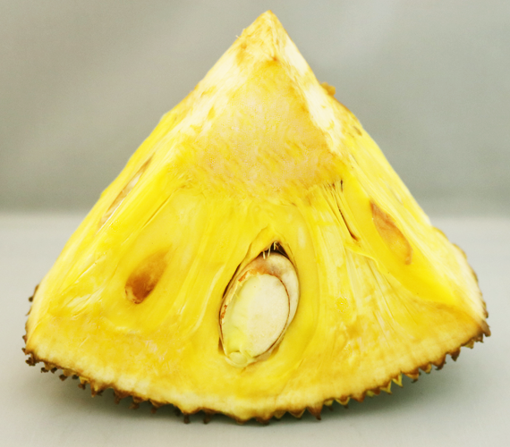 Jackfruit