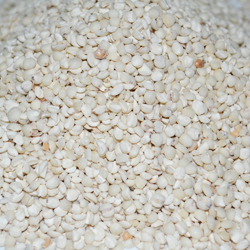 Job's tears grain