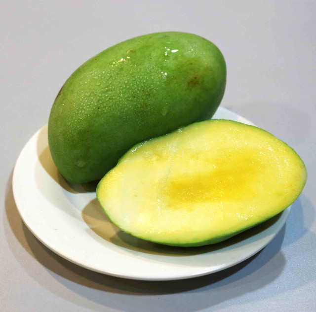 Mango, Manila super, medium ripe