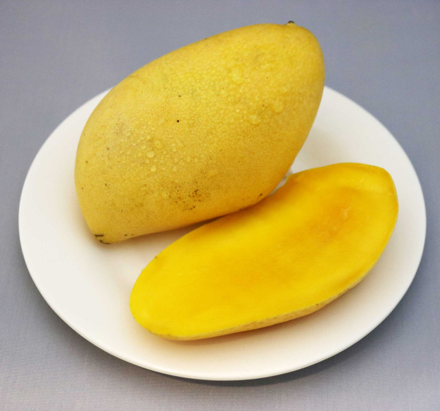 Mango, Manila super, ripe