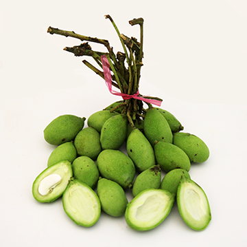 Mango, paho, unripe