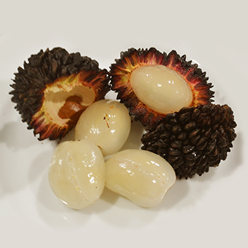 Maraitum