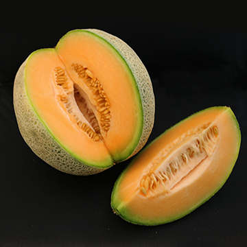 Melon