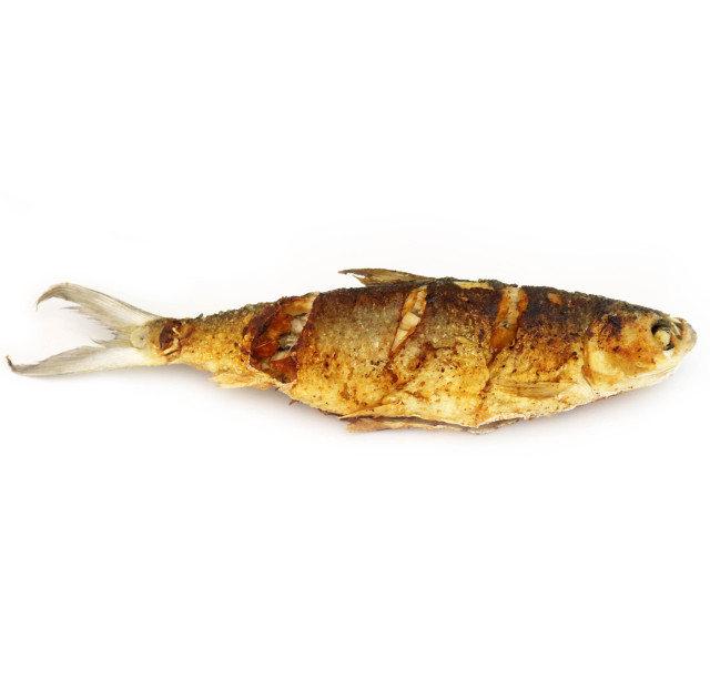 Milkfish, fried