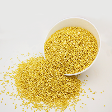 Millet, glutinous