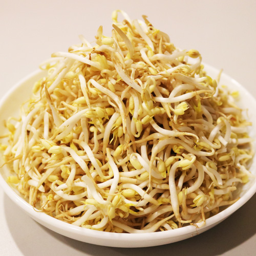 Mung bean sprout