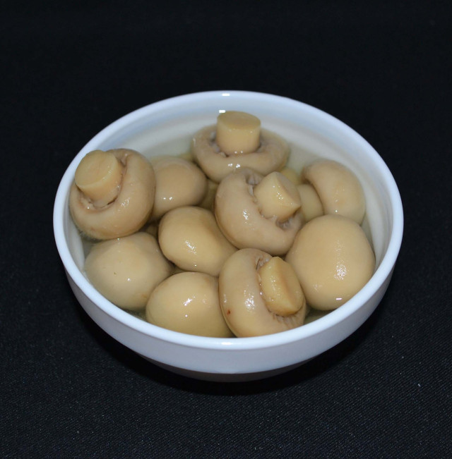 Mushroom, cnd