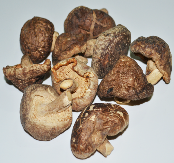 Mushroom, dried