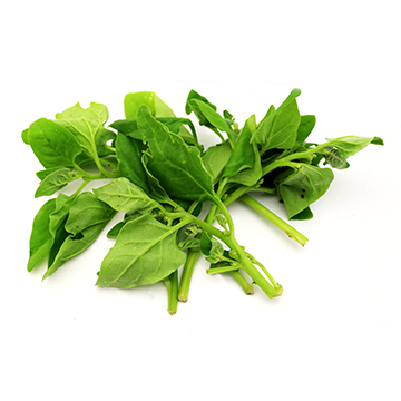 New Zealand spinach lvs